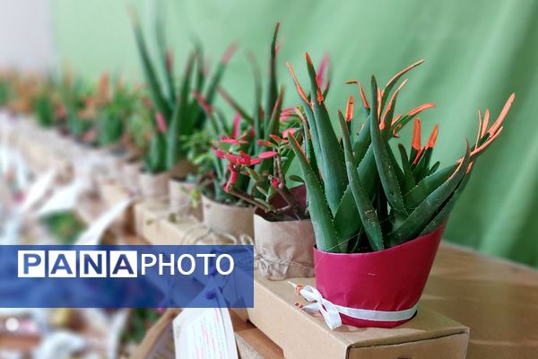 افتتاحیه طرح گلستان زندگی  دبیرستان شهدای هسته‌ای قرچک 