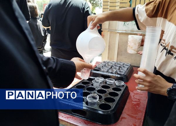 سوگ عاشورا در تربت حیدریه 