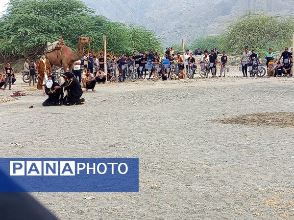 آیین باشکوه کاروان شام تا کربلا در میناب