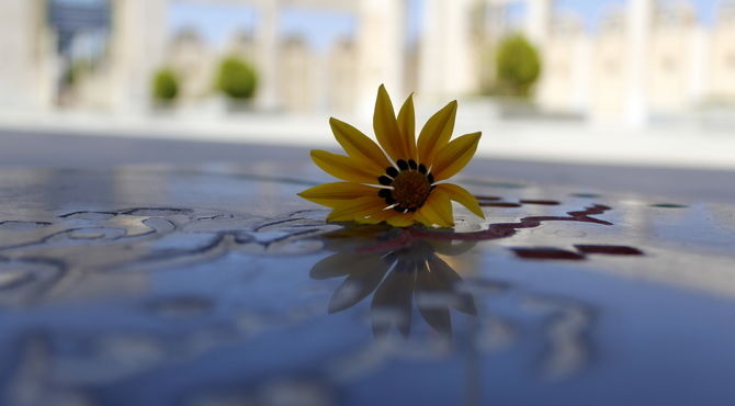 شهید دانش‌آموزی از درق، مرد میدان این هفته شبکه اترک شد