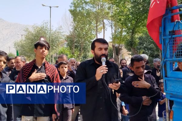 شکوه عزاداران رضوی در لردگان