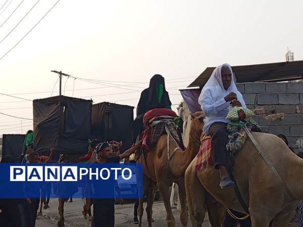 آیین باشکوه کاروان شام تا کربلا در میناب
