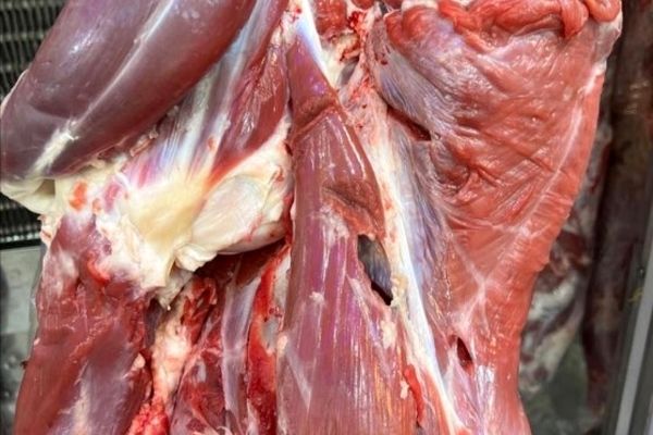 واردات ۳۲ هزار تُن گوشت منجمد به کشور در سال تاکنون