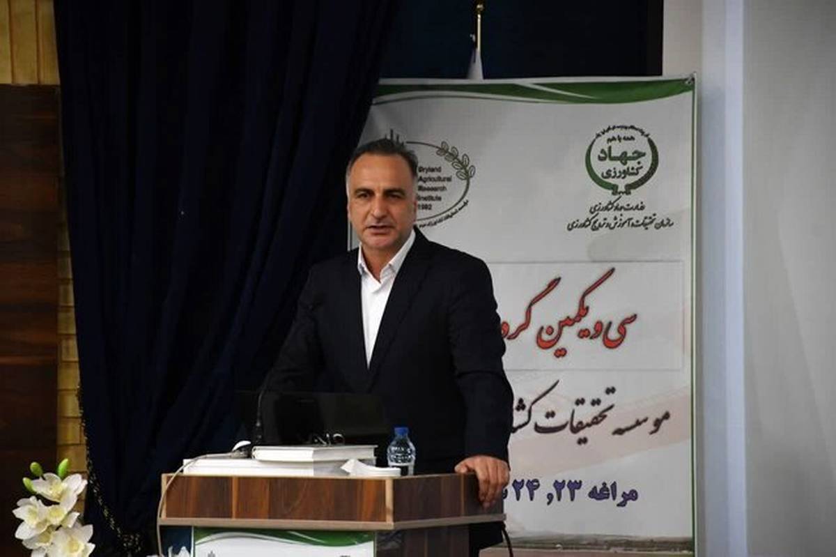 برداشت 8 میلیون تُن محصول از اراضی دیم کشور در سال گذشته