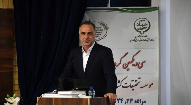 برداشت 8 میلیون تُن محصول از اراضی دیم کشور در سال گذشته