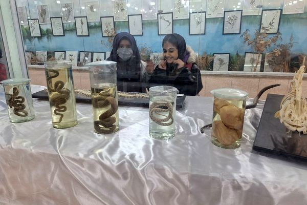 اردوی علمی ،تفریحی دانش آموزان مدرسه مهندس رحمانی فرد در پژوهش سرای علامه طباطبایی