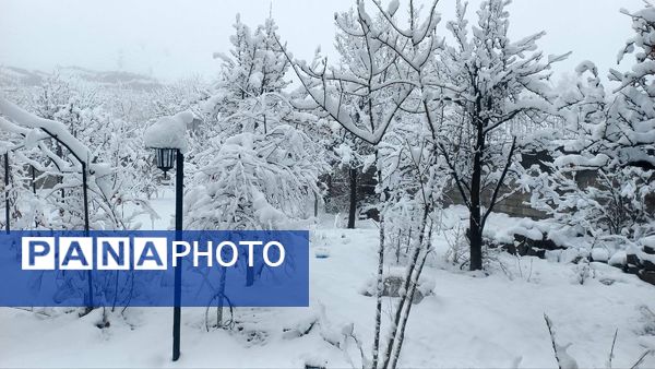 بارش برف در ارتفاعات شاندیز