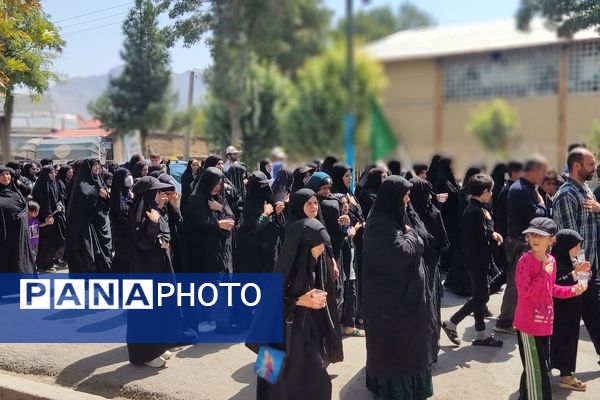 شکوه عزاداران رضوی در لردگان