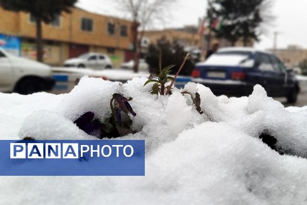 لردگان میزبان اولین برف زمستانی 