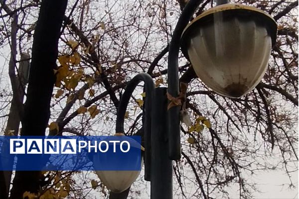 جلوه هایی از باران پاییزی در کاشمر