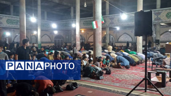 جشن بزرگ میلاد امام رضا (ع) در یاسوج