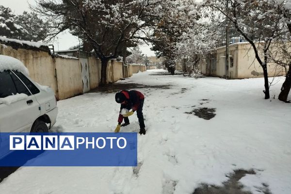 بارش برف در شهرستان تربت جام