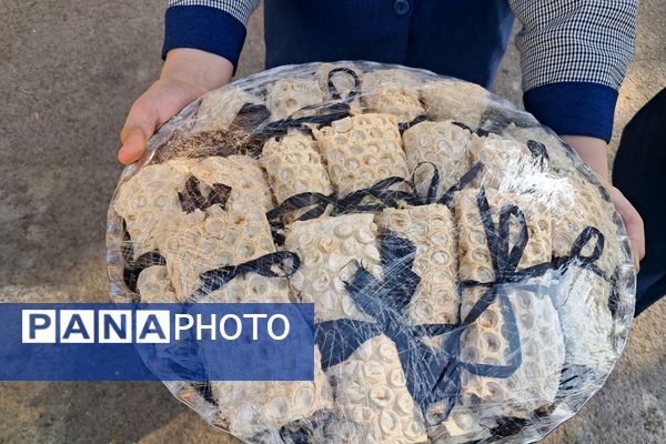 سه‌شنبه‌های مهدوی؛ روزی برای همدلی و انتظار در مدارس شهریار