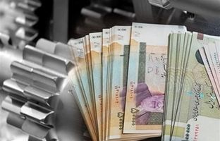 مجلس از سال آتی خود به تعیین سهم نهادهای عمومی برای وام اشتغال بپردازد