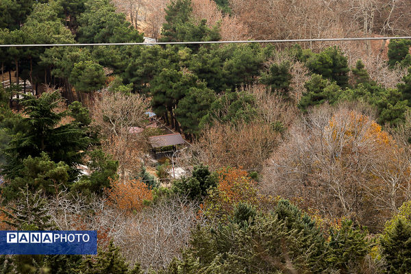 پاییز خیال انگیز در پارک جمشیدیه