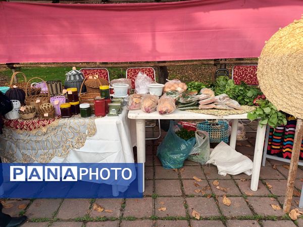 نمایشگاه دست سازه‌ها، نمایش حضور سوادآموزان