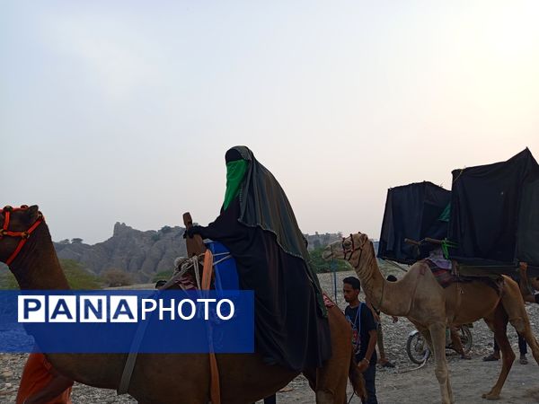 آیین باشکوه کاروان شام تا کربلا در میناب
