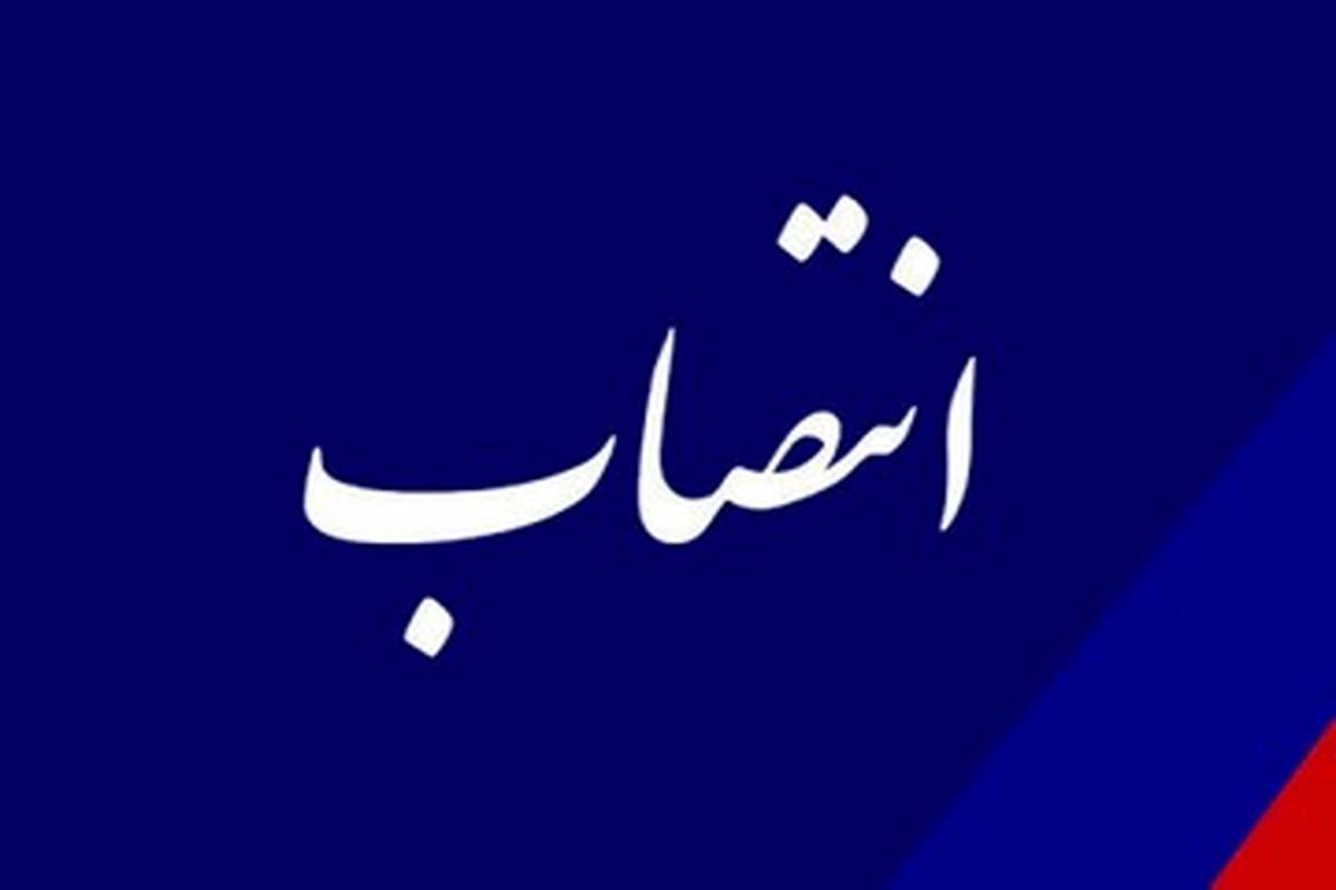 دستیار اجتماعی وزیر تعاون، کار و رفاه اجتماعی منصوب شد