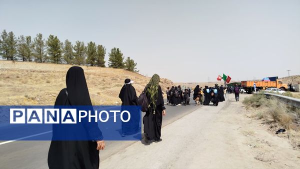 پیاده روی زائران امام رضا(ع) از ملک آباد تا مشهد 