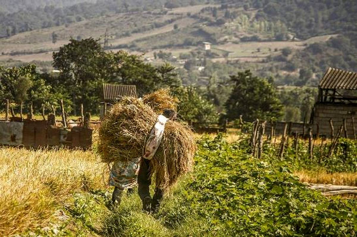 هشدار هواشناسی به کشاورزان استان‌های شمال‌غرب و زنجان