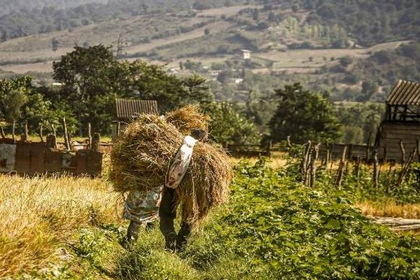 هشدار هواشناسی به کشاورزان استان‌های شمال‌غرب و زنجان