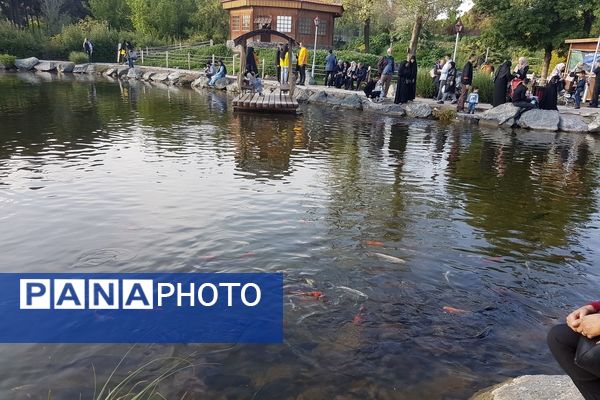 اردیبهشت زیبای باغ گیاهشناسی مشهد