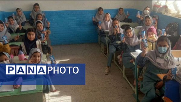 آغاز توزیع شیر در مدارس دخترانه بردسکن