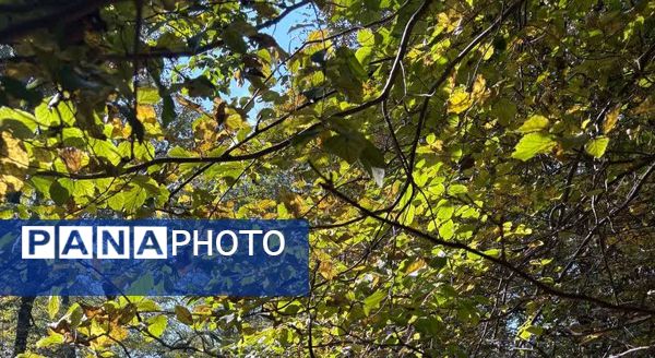 نگین سبز شمال ایران