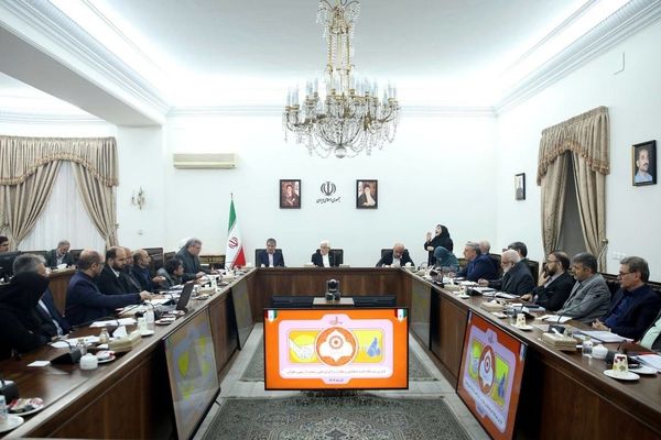 قانون حمایت از حقوق افراد دارای معلولیت باید به درستی اجرا شود/ حقوق هیچ قشری نباید نادیده گرفته شود