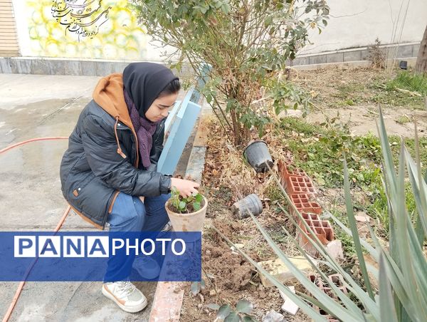 کاشت درخت در هنرستان بصیرت آشخانه