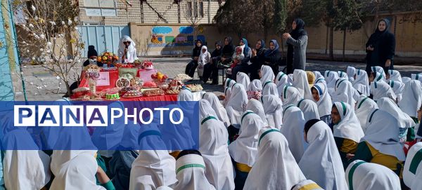 در پاسداشت فرهنگ کهن ایرانی؛ یلدا