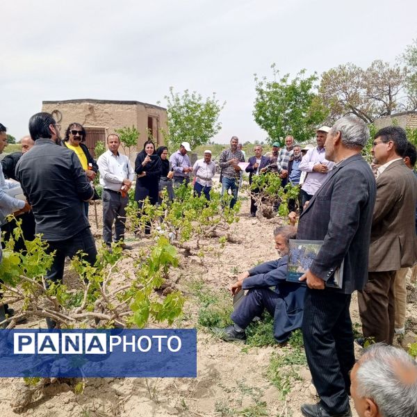 کلاس آموزشی تغذیه باغات انگور در شهر تیتکانلو