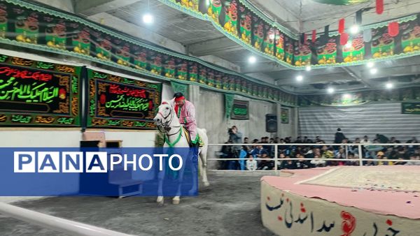 عطر غربت فاطمی در مارکده پیچید