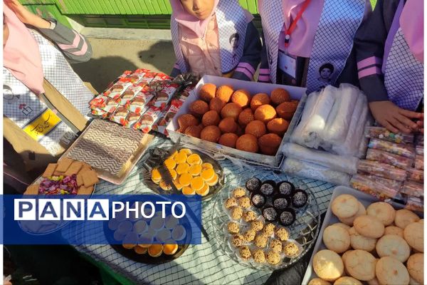 موکب فاطمی در دبستان مینوی خرد 