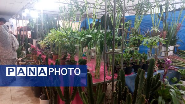 جشنواره بزرگ ویژه شب یلدا در قلب شهر بندرعباس