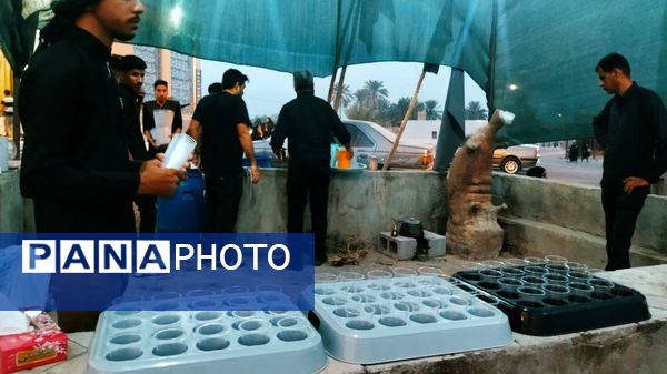 جاماندگان اربعین در مسیر شاه قطب‌الدین حیدر شهرستان رودان