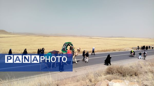 پیاده روی زائران امام رضا(ع) از ملک آباد تا مشهد 