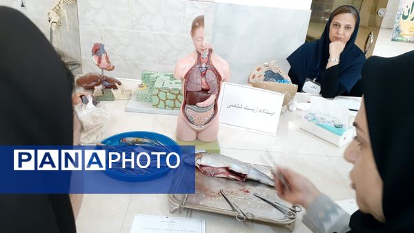 برگزاری مرحله استانی جشنواره نوآوری در بجنورد