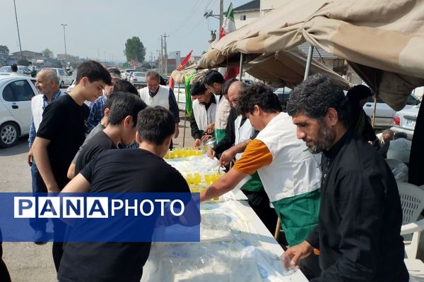 برپایی موکب امام رضا(ع) در میاندورود 