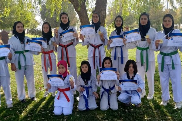 مراسم اهدا جوایز به تکواندوکاران کوهدشت با حضور مسئولان برگزار شد
