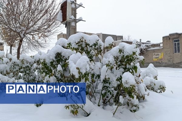 بارش زیبای برف پاییزی در شهرستان نیشابور 