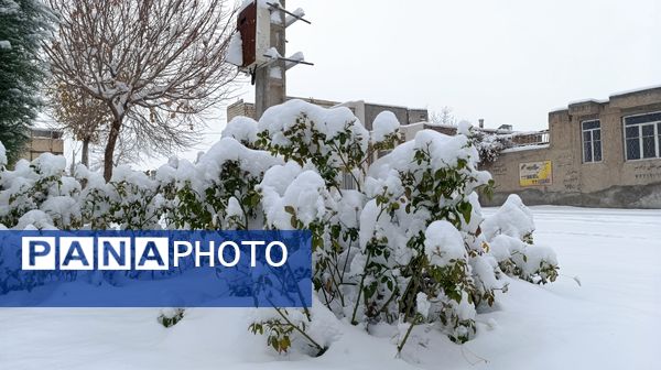 بارش زیبای برف پاییزی در شهرستان نیشابور 