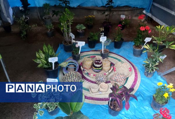 جشنواره مغ مهرگان شهرستان حاجی آباد