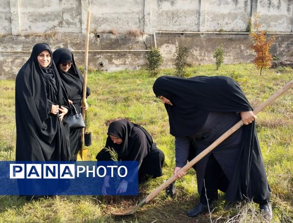 پویش سراسری کاشت نهال در سایه مادر همزمان با ایام ولادت حضرت زهرا (س) در میاندورود 