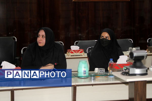 کار گروه هماهنگی - اجرایی نظام مراقبت اجتماعی دانش آموزان استان بوشهر