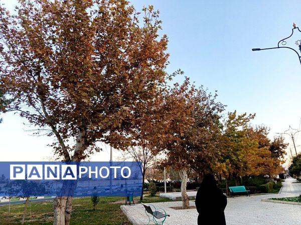 طبیعت زیبای کاشمر در پاییز