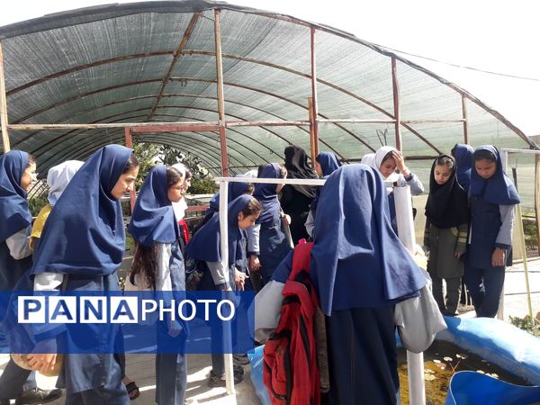 بازدید دانش‌آموزان مدرسه شهید خاقانی از گلخانه پیشه‌وران شیروان
