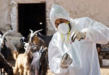 بیش از ۵ میلیون و ۳۰۰ هزار دُز واکسن تب برفکی وارد شد