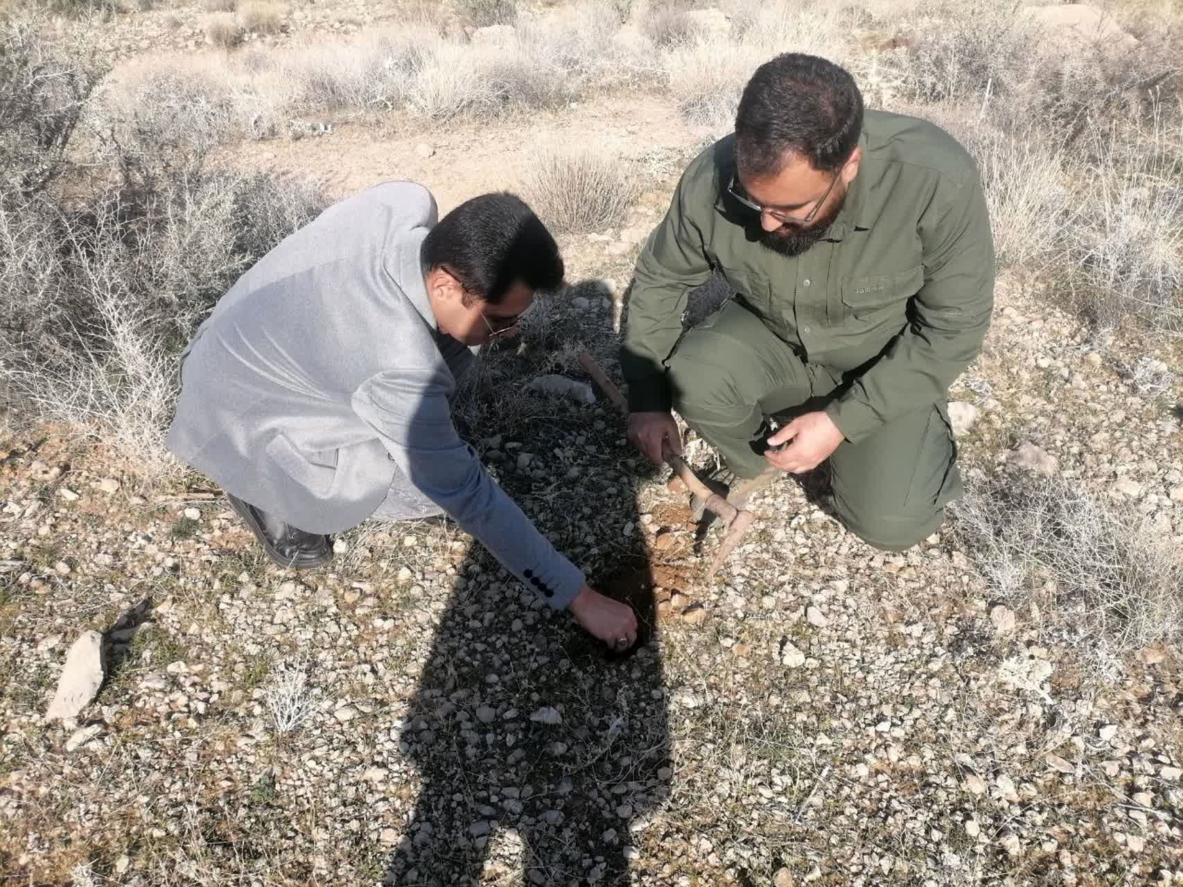 باهمت سبز، آبی شود آسمان شهرمان 