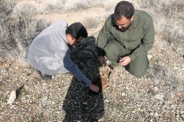 باهمت سبز، آبی شود آسمان شهرمان 